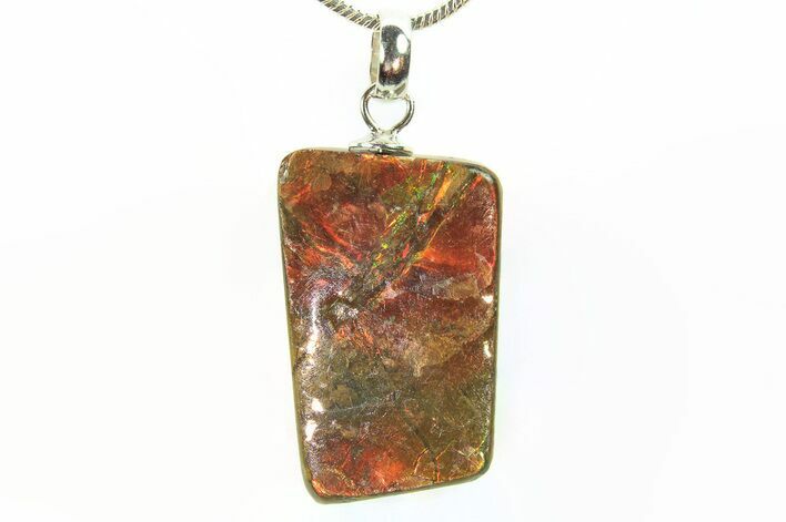 Brilliant Ammolite Pendant (Necklace) - Alberta, Canada #296058